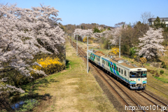 [阿武隈急行丸森～北丸森間] 934M、8100系A-17編成