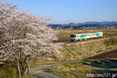 [阿武隈急行横倉～岡間] 964M、8100系A-17編成