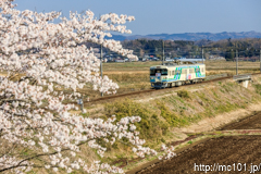 [阿武隈急行横倉～岡間] 916M、8100系A-3編成