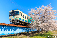 [阿武隈急行角田～横倉間] 922M、8100系A-7編成