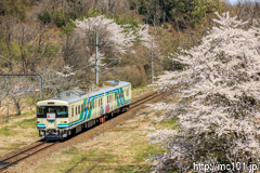 [阿武隈急行丸森～北丸森間] 928M、8100系A-3編成