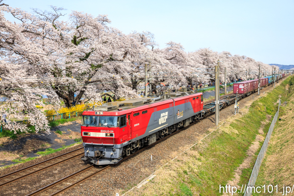 [写真]