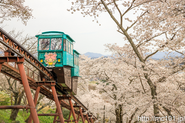 [写真]