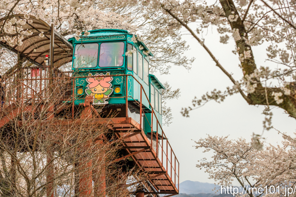 [写真]