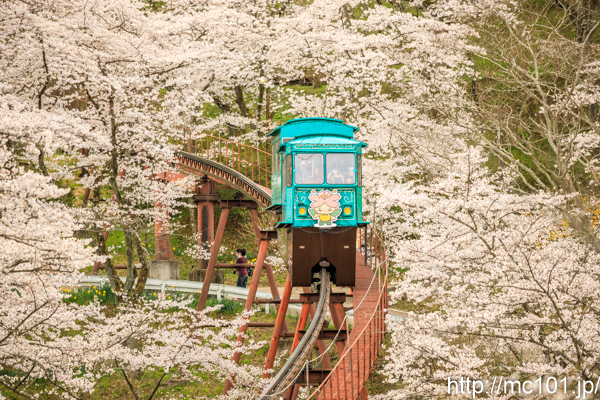 [写真]