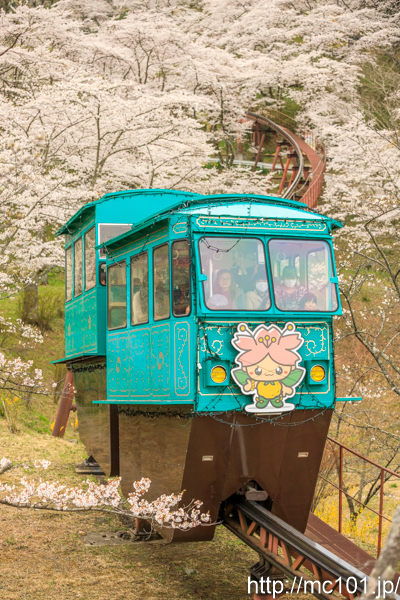 [写真]