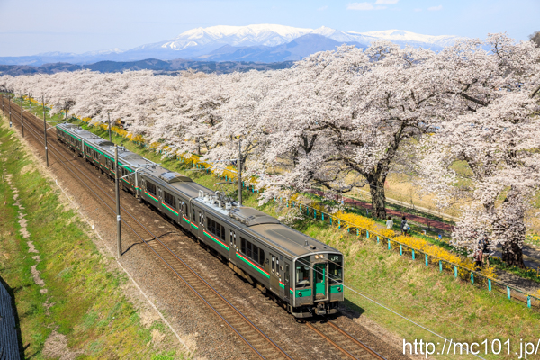 [写真]