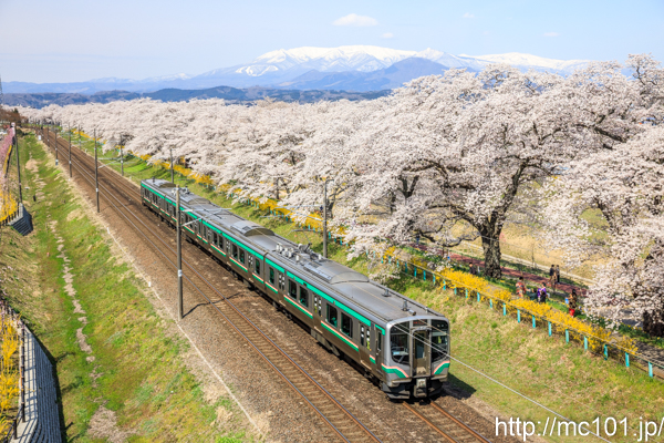 [写真]