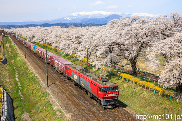 [写真]