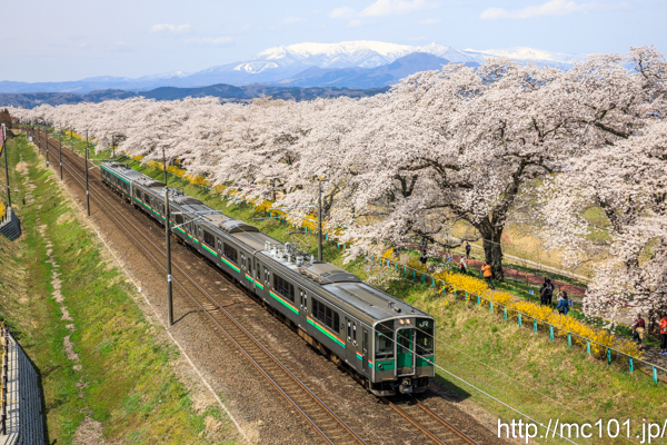 [写真]