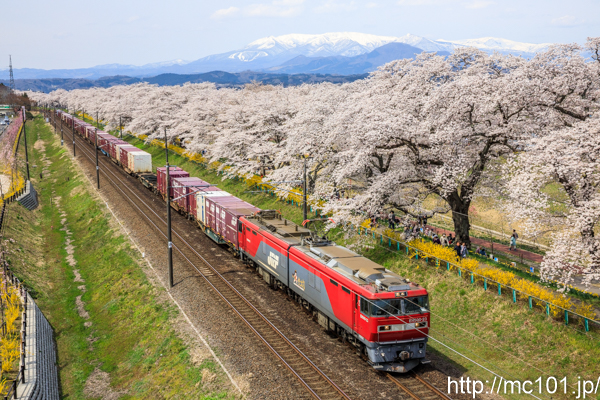 [写真]