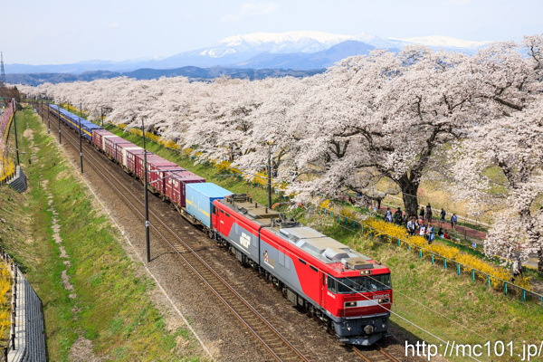 [写真]