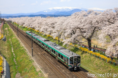 [東北本線大河原～船岡間] 3573M快速仙台シティラビット3号、E721系P4-3編成