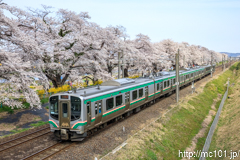 [東北本線大河原～船岡間] 3584M快速仙台シティラビット4号、E721系P4-10編成