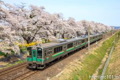 [東北本線大河原～船岡間] 701系F4-30編成、回送