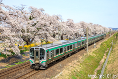 [東北本線大河原～船岡間] 440M、E721系P4-15編成+P-34編成