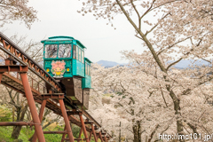[船岡城址公園スロープカー山頂付近] その1