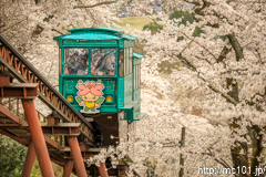 [船岡城址公園スロープカー山頂付近] その2