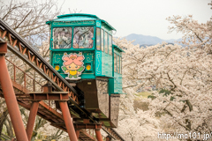 [船岡城址公園スロープカー山頂付近] その3