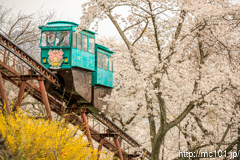 [船岡城址公園スロープカー山頂付近] その4