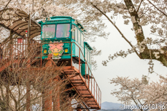[船岡城址公園スロープカー山頂付近] その5