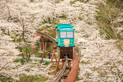 [船岡城址公園スロープカー売店前付近] その1