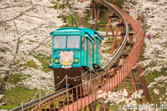 [船岡城址公園スロープカー売店前付近] その2