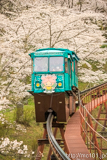 [船岡城址公園スロープカー売店前付近] その3