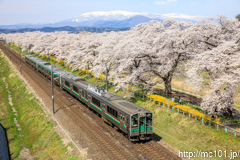[東北本線大河原～船岡間] 435M、701系FS-501編成+E721系2両×2