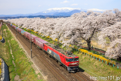 [東北本線大河原～船岡間] EH500-29号機牽引の貨物
