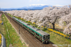 [東北本線大河原～船岡間] 439M、E721系P-38編成+E721系2両+701系2両