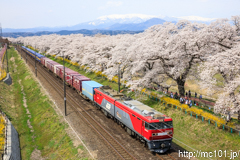 [東北本線大河原～船岡間] EH500-63号機牽引の貨物