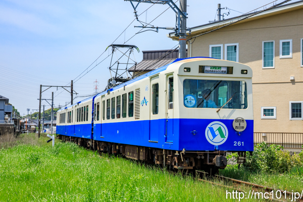 [写真]