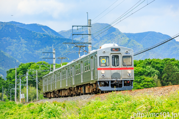 [写真]
