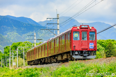 [養老鉄道養老線駒野～美濃津屋間] 952列車、600系D02編成、養老鉄道100周年・京急120周年コラボHM付き