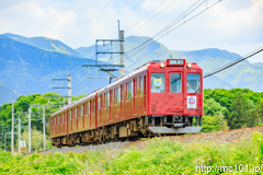 [養老鉄道養老線駒野～美濃津屋間] 1050列車、620系D21編成、養老鉄道全通100周年HM付き