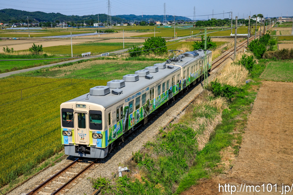 [写真]