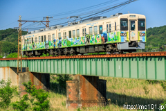 [上信電鉄佐野のわたし～根小屋間] 9列車、700形702F、後追い