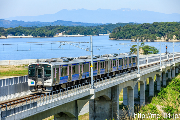 [写真]
