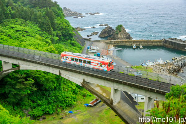 [写真]