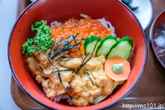 昼食、大沢橋梁横の「レストハウス うしお」にて、生うにといくらの2色丼。
