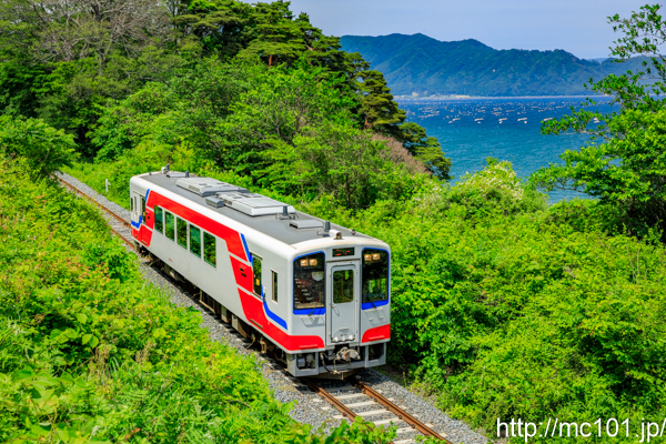 [写真]