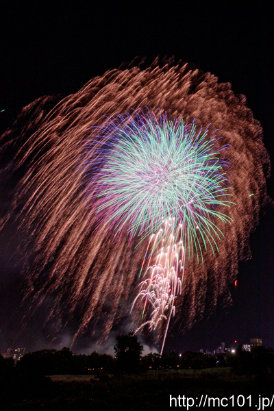 [写真]
