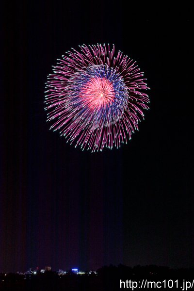 [写真]