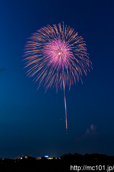 [写真]