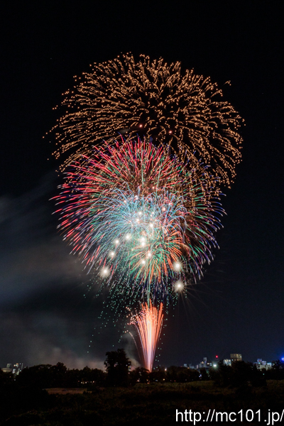 [写真]