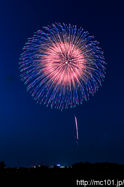 [写真]