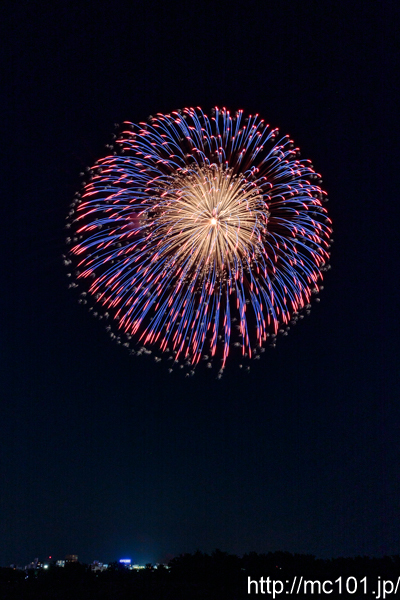 [写真]