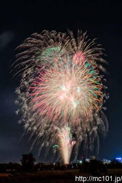 [写真]