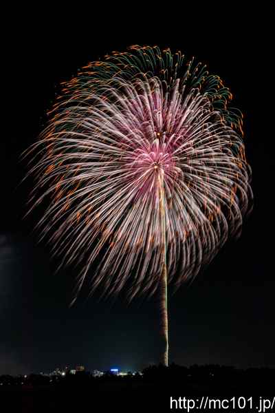 [写真]